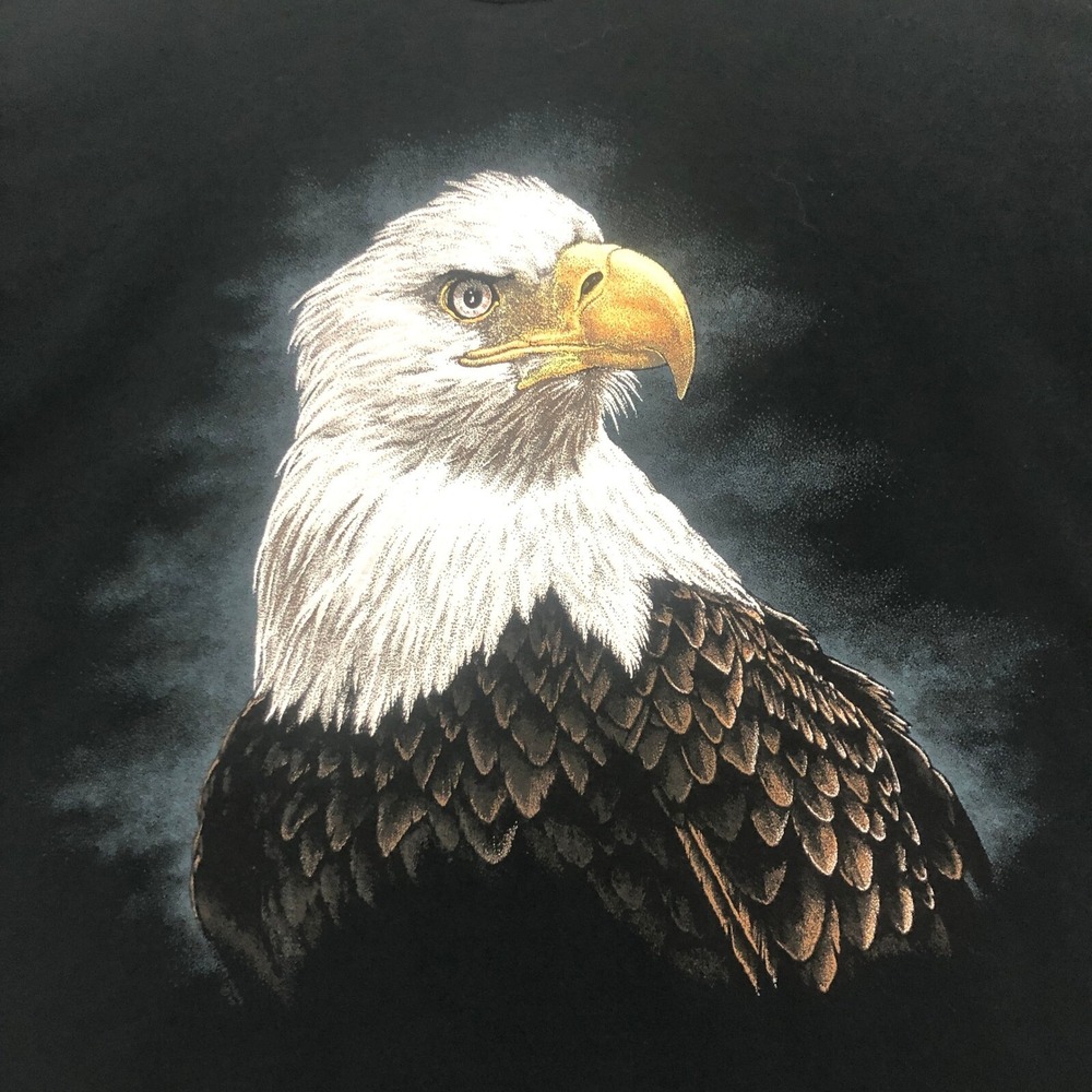 Eagle Graphic T-Shirt Bird Nature Black‎ Fruit of the Loom Men's Size XXL
